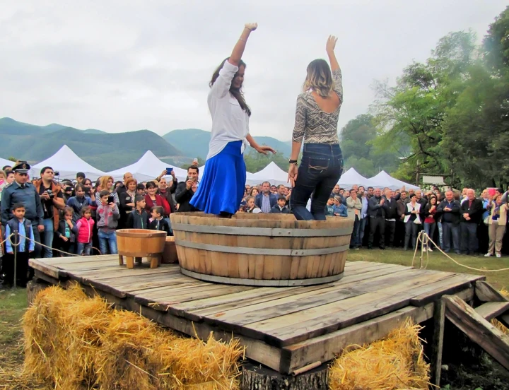 Festival de Vino Arení