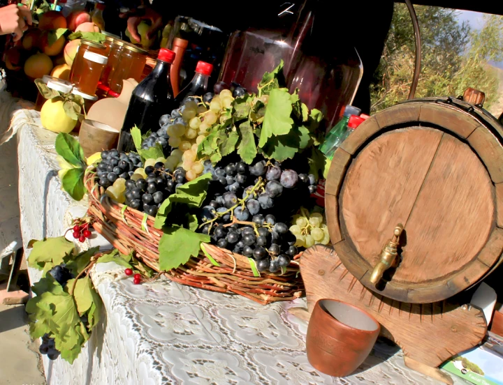 Festival de Vino Arení