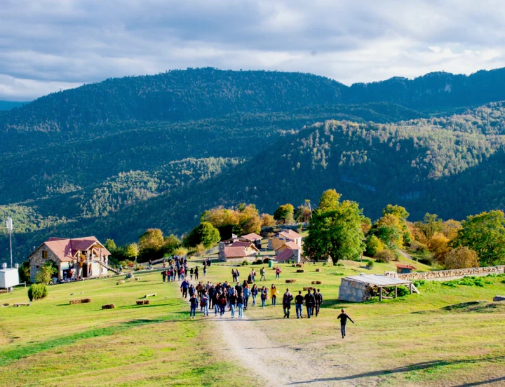 Yell Extreme Festival