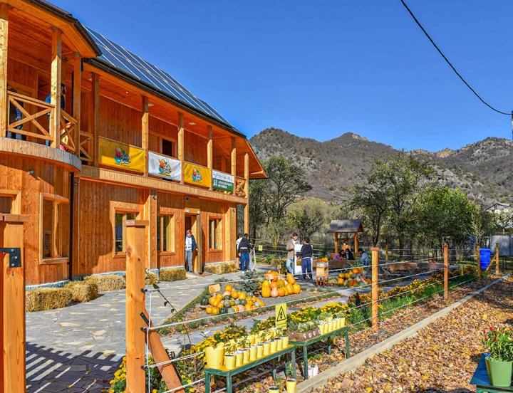 Festival de la calabaza