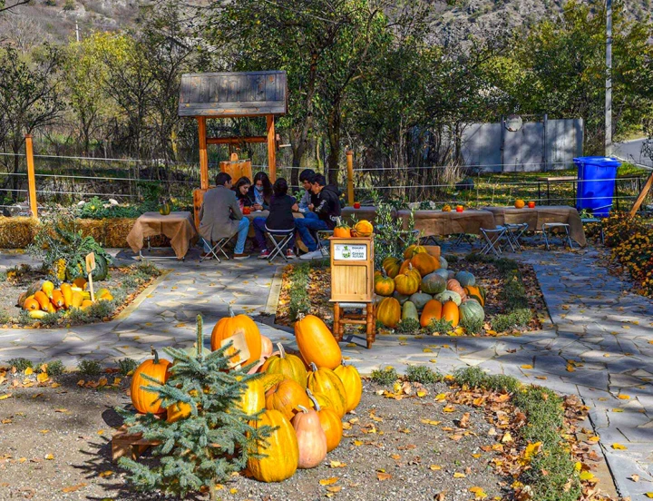 Festival de la calabaza
