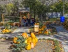 Festival de la calabaza