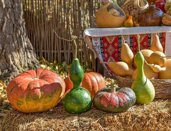 Festival de la calabaza