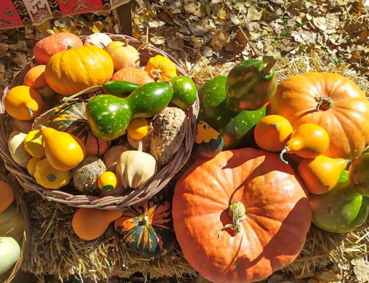 Festival de la calabaza