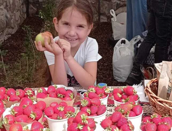 Festival de Bayas de Verano