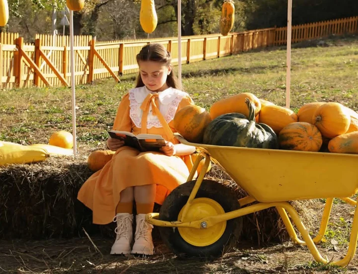 Festival de la calabaza