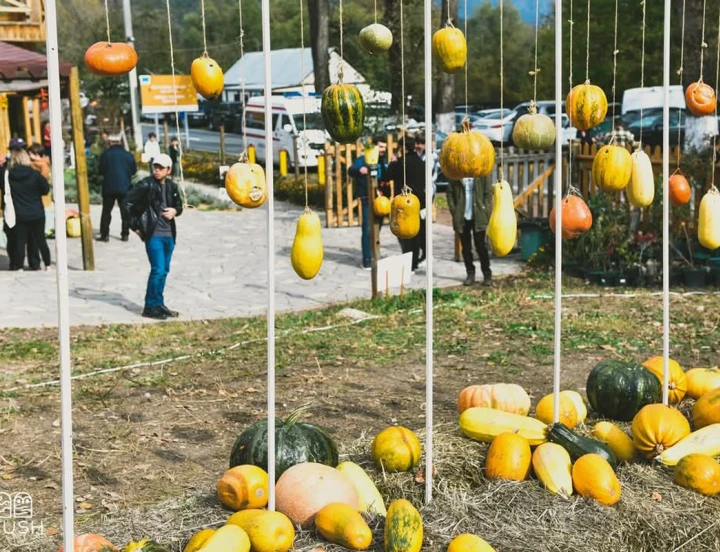 Festival de la calabaza