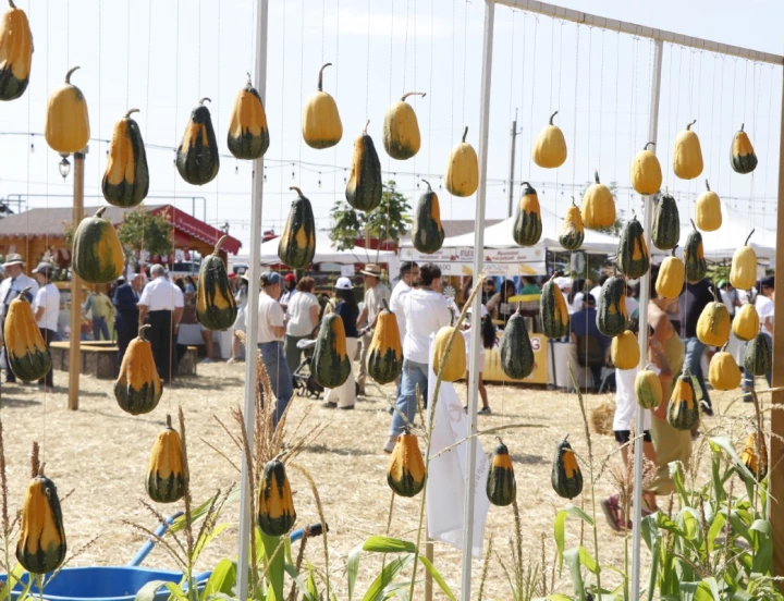 Fête des récoltes: vie rurale et traditions
