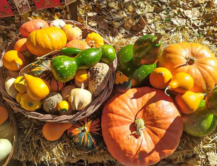 Fête des récoltes: vie rurale et traditions