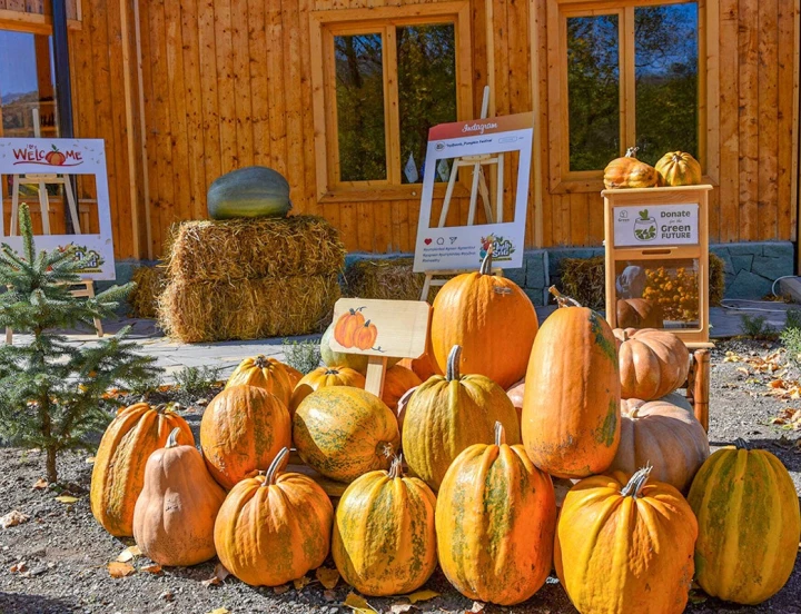 Fête des récoltes: vie rurale et traditions