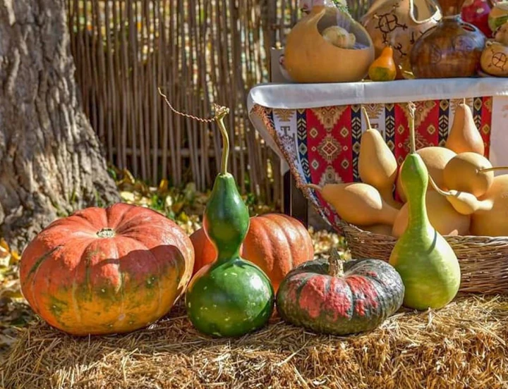 Fête des récoltes: vie rurale et traditions