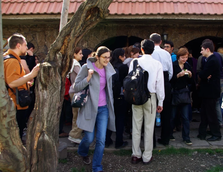 Scientific Workshop and School "Looking Back at Mount Ararat", Yerevan. 5-10 April, 2010. Number of participants: 70