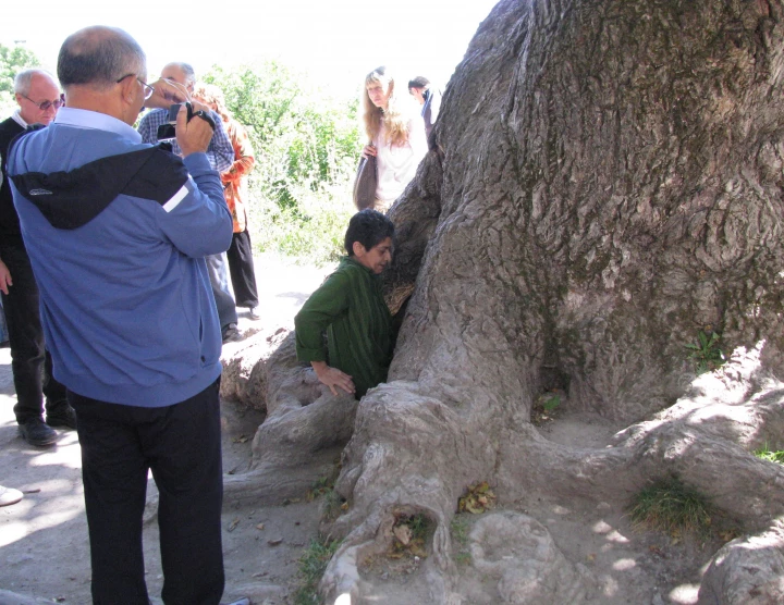 Scientific Conference "Harmonic Analysis and Approximations, V", Tsaghkadzor. 10-17 September, 2011. Number of participants: 100