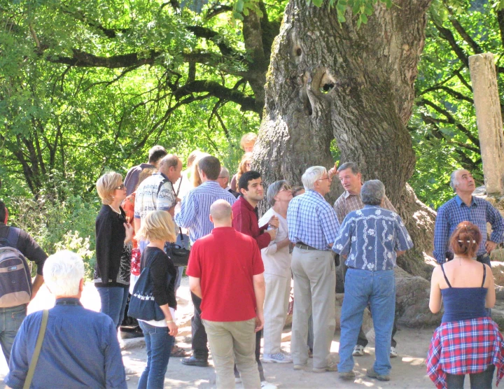 Scientific Conference "Harmonic Analysis and Approximations, V", Tsaghkadzor. 10-17 September, 2011. Number of participants: 100