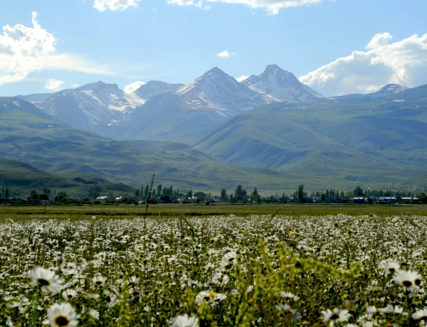 Амберд, Гора Арагац, Оз. Кари, Производство сухофруктов, Сагмосаванк, Аллея Алфавита