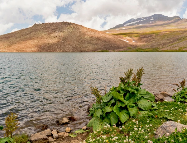 Амберд, Гора Арагац, Оз. Кари, Производство сухофруктов, Сагмосаванк, Аллея Алфавита