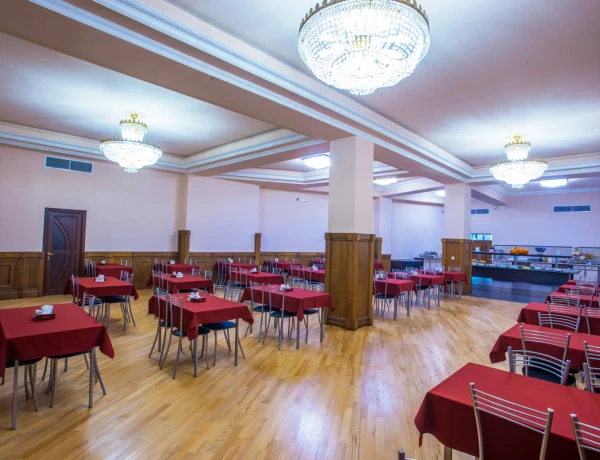 Hotel Ani Central Inn