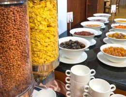 Ani Plaza hotel