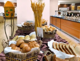 Ani Plaza hotel