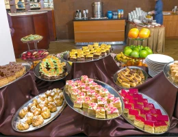 Ani Plaza hotel