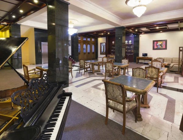 Hotel Ani Central Inn