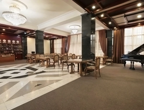 Hotel Ani Central Inn