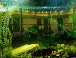 Hôtel Aquapark
