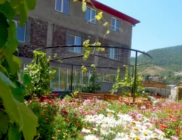 Hotel Mina