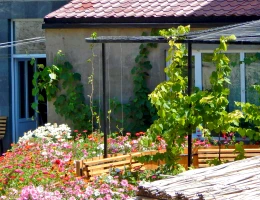 Hotel Mina