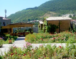 Hotel Mina