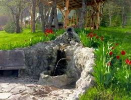 Alva Hotel and Spa