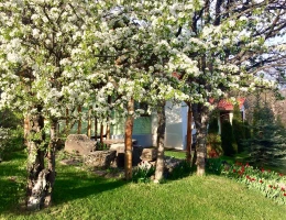 Alva Hotel and Spa