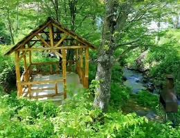 Alva Hotel and Spa