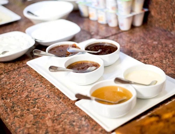 Elegant Hotel and Resort