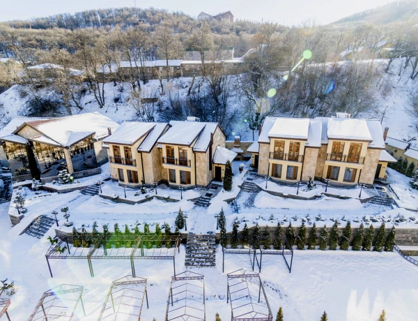 Elegant Hotel and Resort