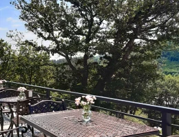 Aurora Resort Tsaghkadzor