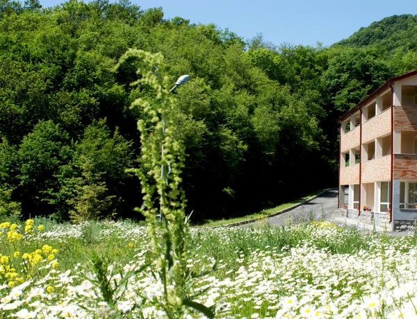 Отель Цахкаовит