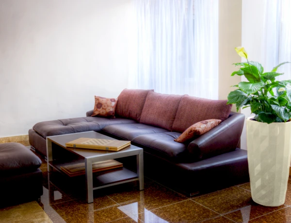 Отель Цахкаовит