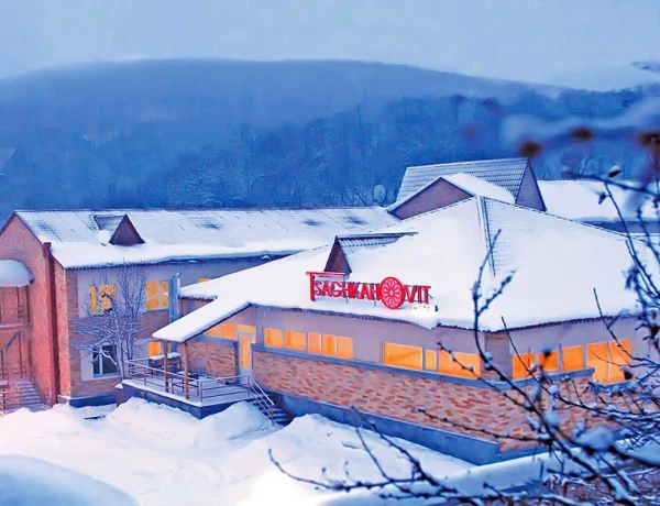 Отель Цахкаовит