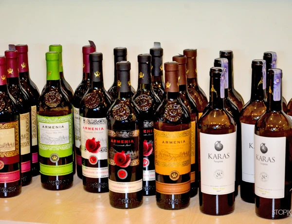 Отель Егевнут