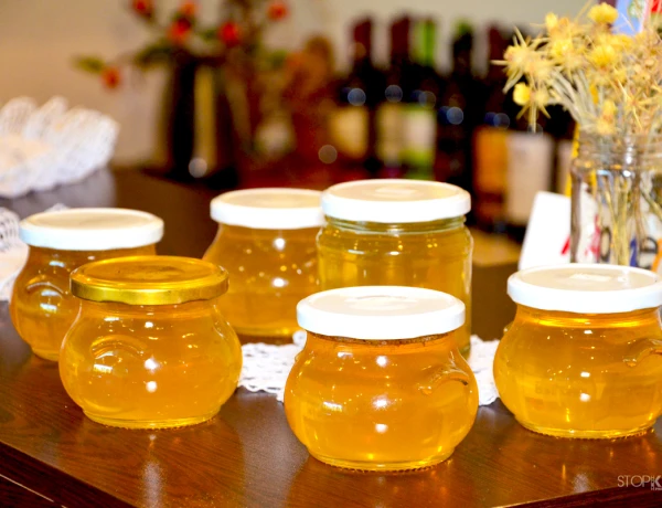 Отель Егевнут