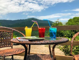 Dilijan Park Resort