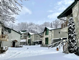 Dilijan Park Resort