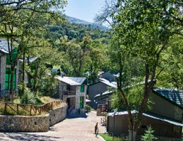 Dilijan Park Resort