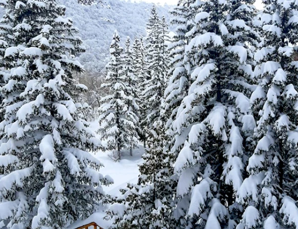 Dschermuk Moskau Resort