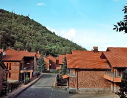 Teghenis Resort