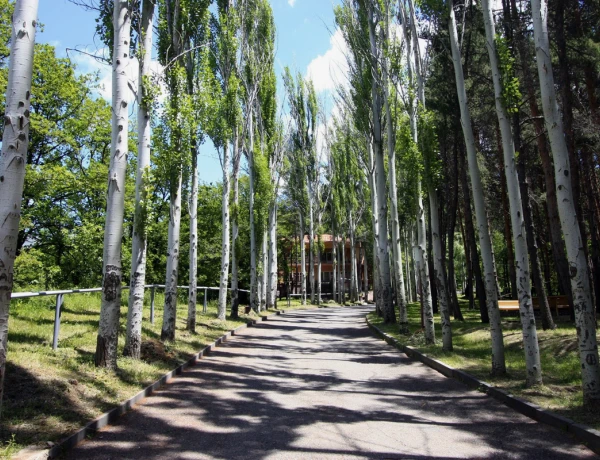 Park Resort Aghweran