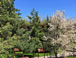 Պարկ Ռեզորթ Աղվերան հյուրանոց