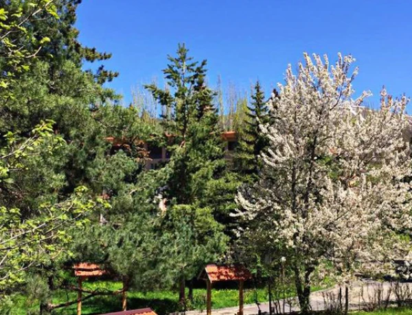 Park Resort Aghweran