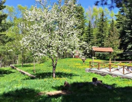 Պարկ Ռեզորթ Աղվերան հյուրանոց
